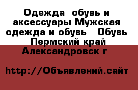 Одежда, обувь и аксессуары Мужская одежда и обувь - Обувь. Пермский край,Александровск г.